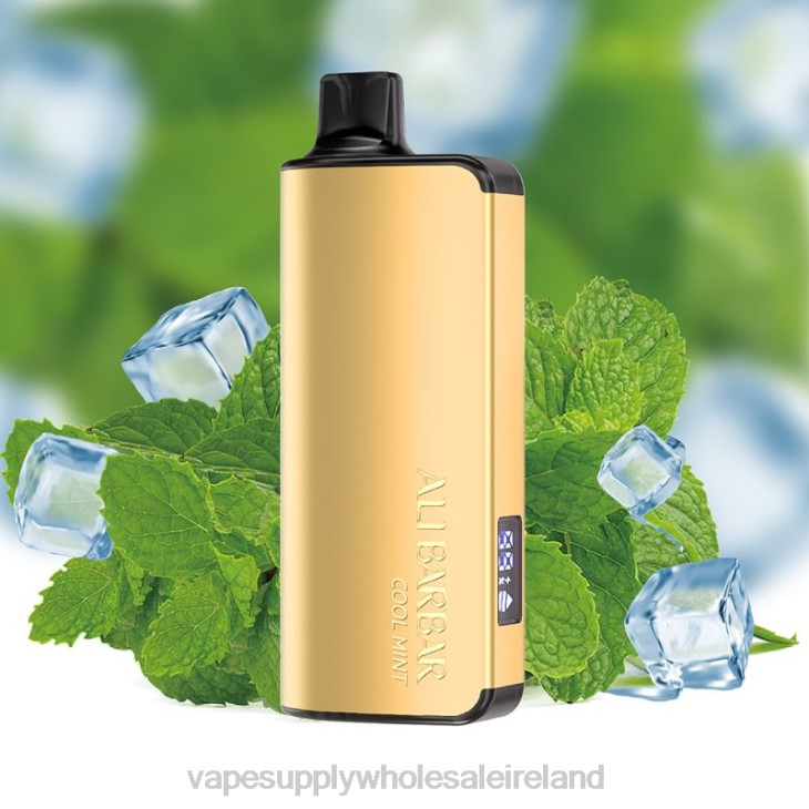 E Cig Wholesale Distributors - Alibarbar Ingot 20000 Disposable Vape Cool Mint FXP835