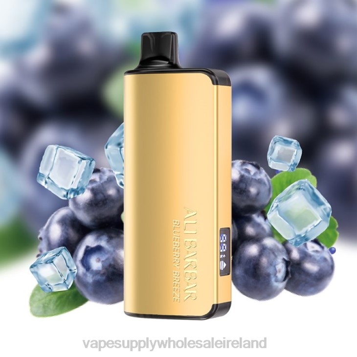 Vape Wholesale Europe - Alibarbar Ingot 20000 Disposable Vape Blueberry Breeze FXP832