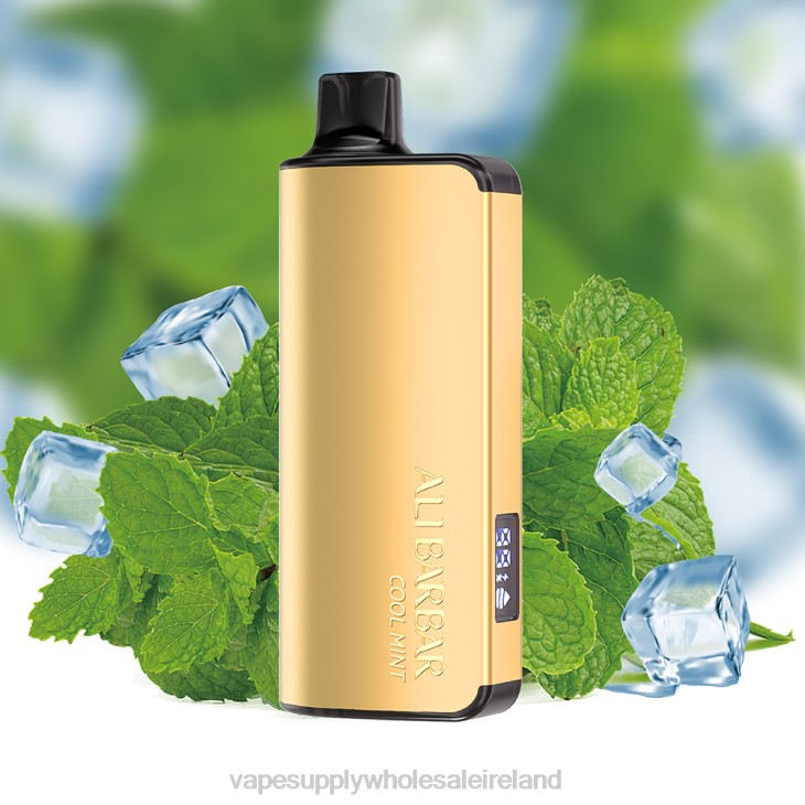 E Cigarettes Wholesale Suppliers - Alibarbar Ingot 9000 Disposable Vape Cool Mint FXP818