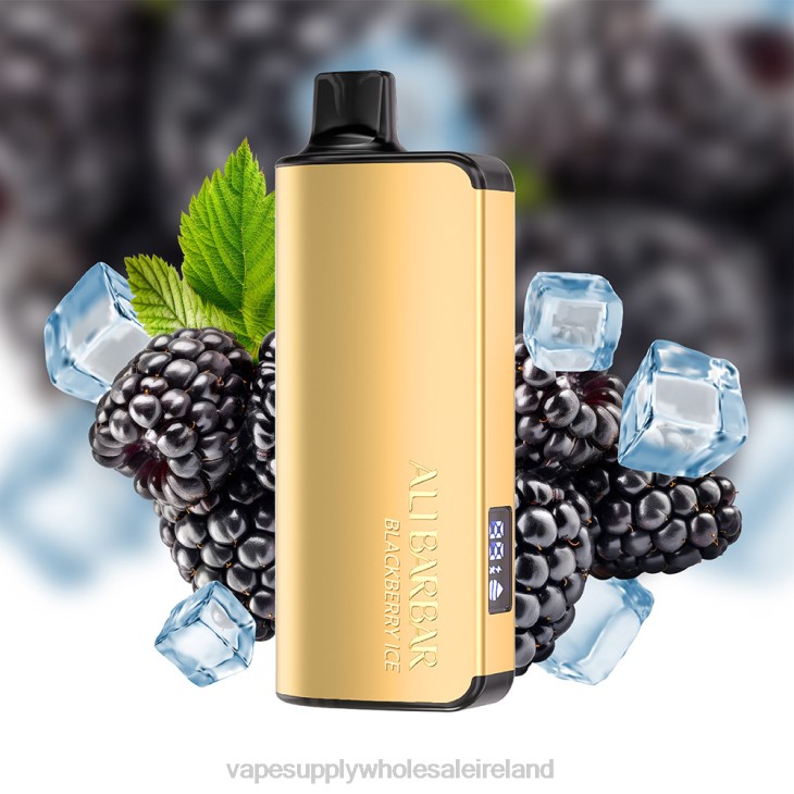 Electronic Cigarette Wholesale Supplier - Alibarbar Ingot 9000 Disposable Vape Blackberry Ice FXP830