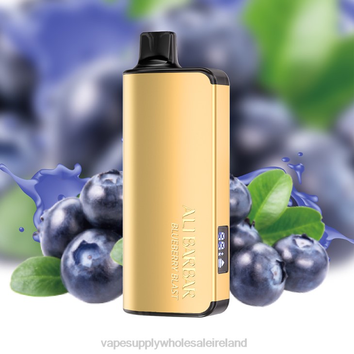 Electronic Cigarette Wholesale Supplier - Alibarbar Ingot 9000 Disposable Vape Grape Ice FXP820