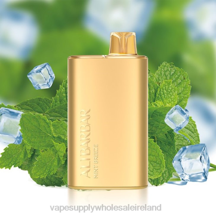 E Cigarettes Wholesale Suppliers - Alibarbar Rich 8000 Disposable Vape Mint Breeze FXP88