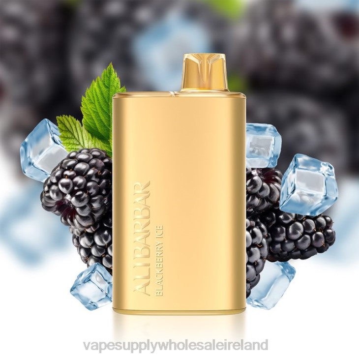 Electronic Cigarette Wholesale Supplier - Alibarbar Rich 8000 Disposable Vape Blackberry Ice FXP810