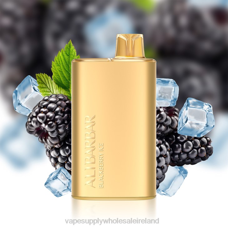 Electronic Cigarette Wholesale Supplier - Alibarbar Rich 8000 Disposable Vape Blackberry Ice FXP810
