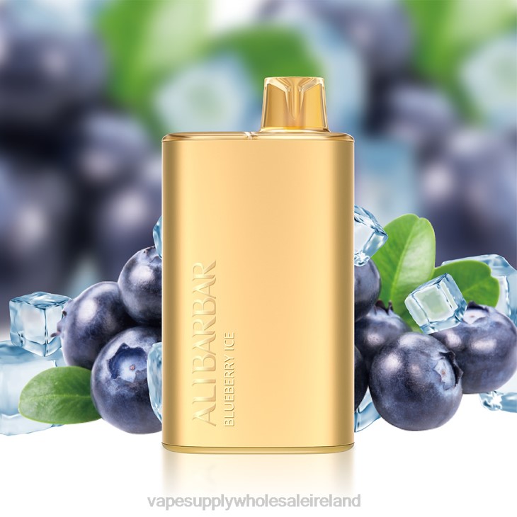 Electronic Cigarette Wholesale Supplier - Alibarbar Rich 8000 Disposable Vape Blackberry Ice FXP810