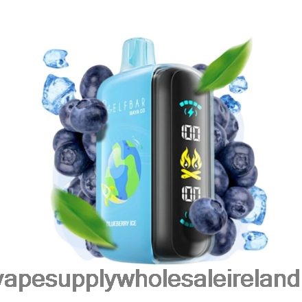 Vape Wholesale Ireland - Elf Bar Raya D3 25000 Disposable FJB68H1