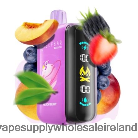 Vape Wholesale Ireland - Elf Bar Raya D3 25000 Disposable FJB68H1