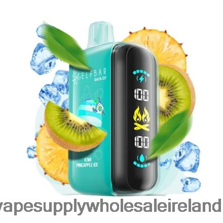 Vape Wholesale Ireland - Elf Bar Raya D3 25000 Disposable FJB68H1