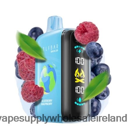 Vape Wholesale Ireland - Elf Bar Raya D3 25000 Disposable FJB68H1