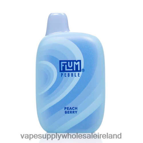 E Cigarette Wholesale - FLUM PEBBLES 6000 PUFFS Peach Berry D2J0N437