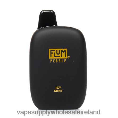 Electronic Cigarette Wholesale Supplier - FLUM PEBBLES 6000 PUFFS Icy Mint D2J0N430