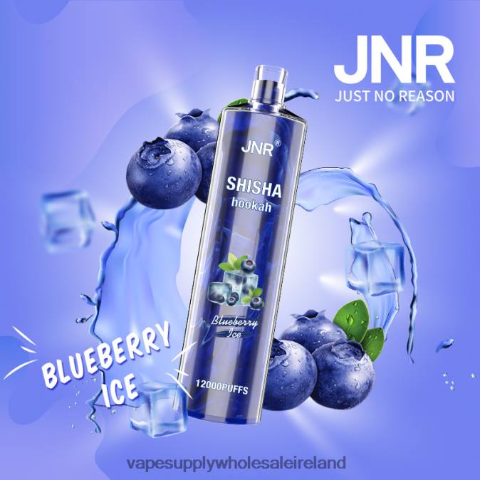 e cig wholesale - 0T2H671 Blueberry Ice JNR SHISHA