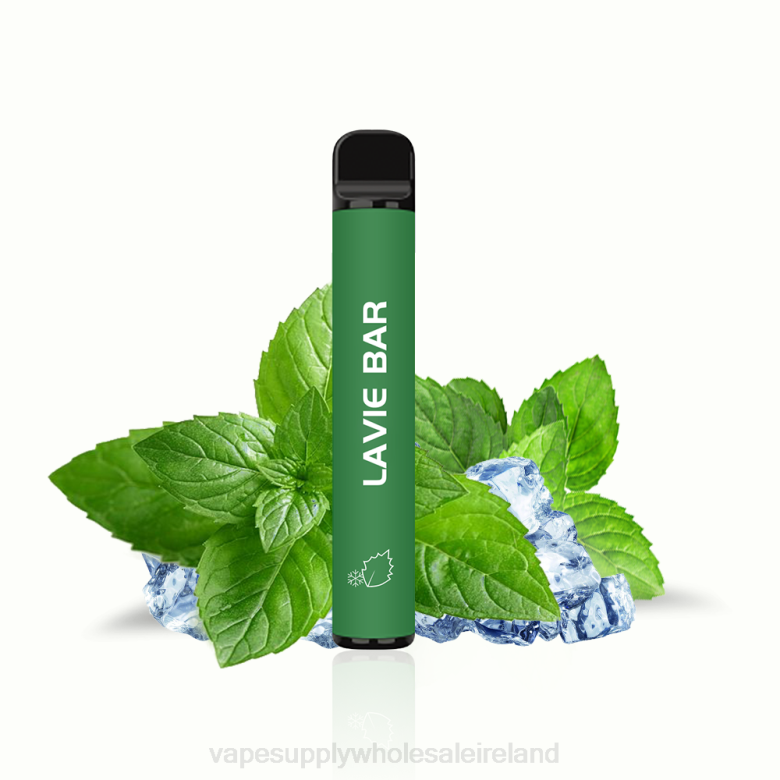 Electronic Cigarette Wholesale Supplier - LAVIE BAR 2% Version 800 Puffs ZB6N320 Cool Mint