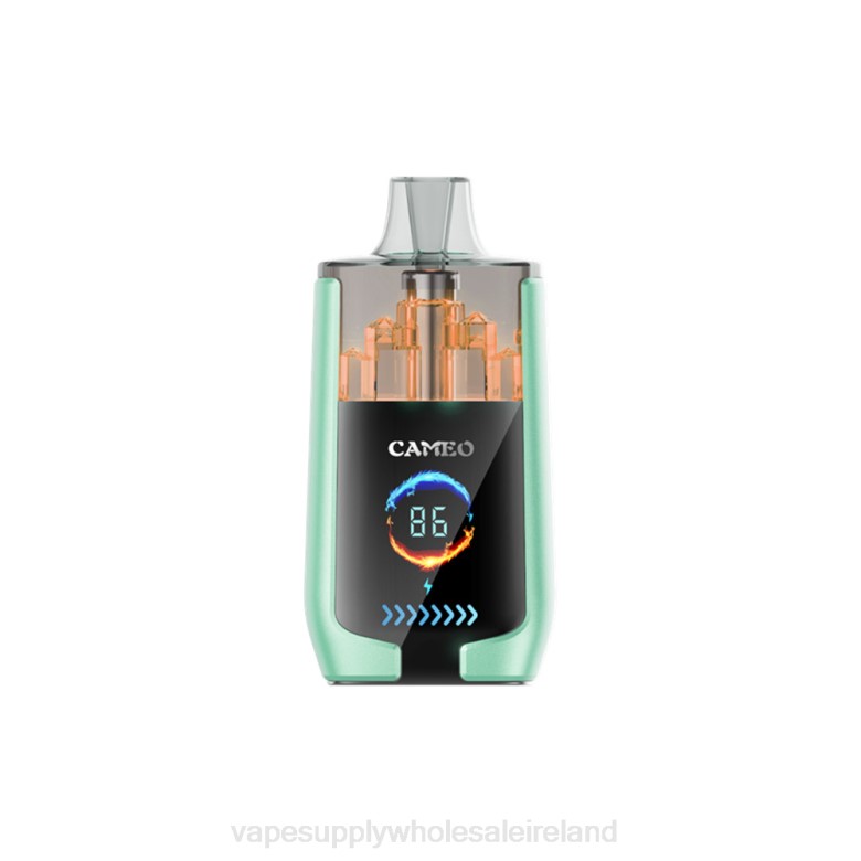 Electronic Cigarette Wholesale Supplier - LAVIE CAMEO 30000 Puffs ZB6N20 Double Apple