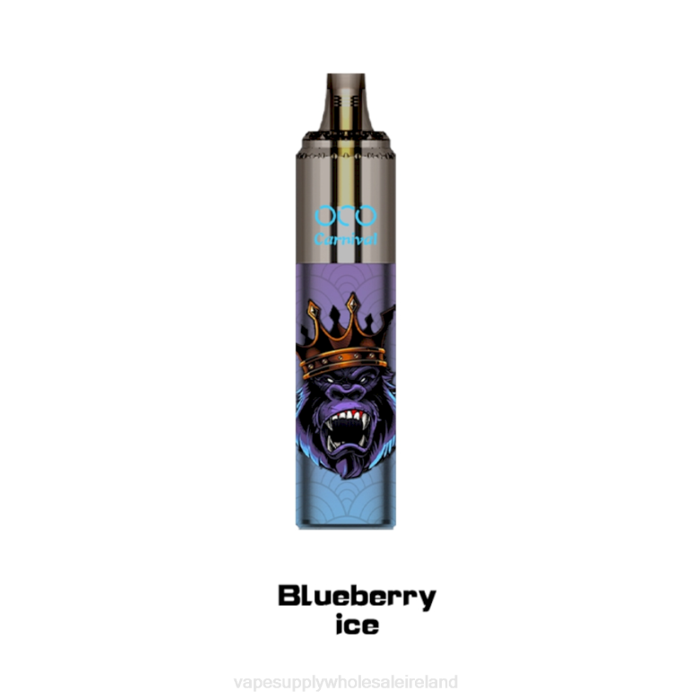 Electronic Cigarette Wholesale - LAVIE OCO Carnival 10000 Puffs ZB6N349 Blueberry Ice