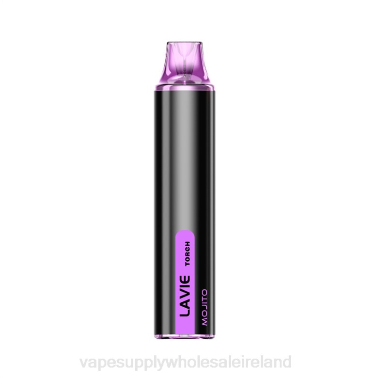 Vape Wholesale Supplier - LAVIE Torch 6000 Puffs ZB6N133 Mojito