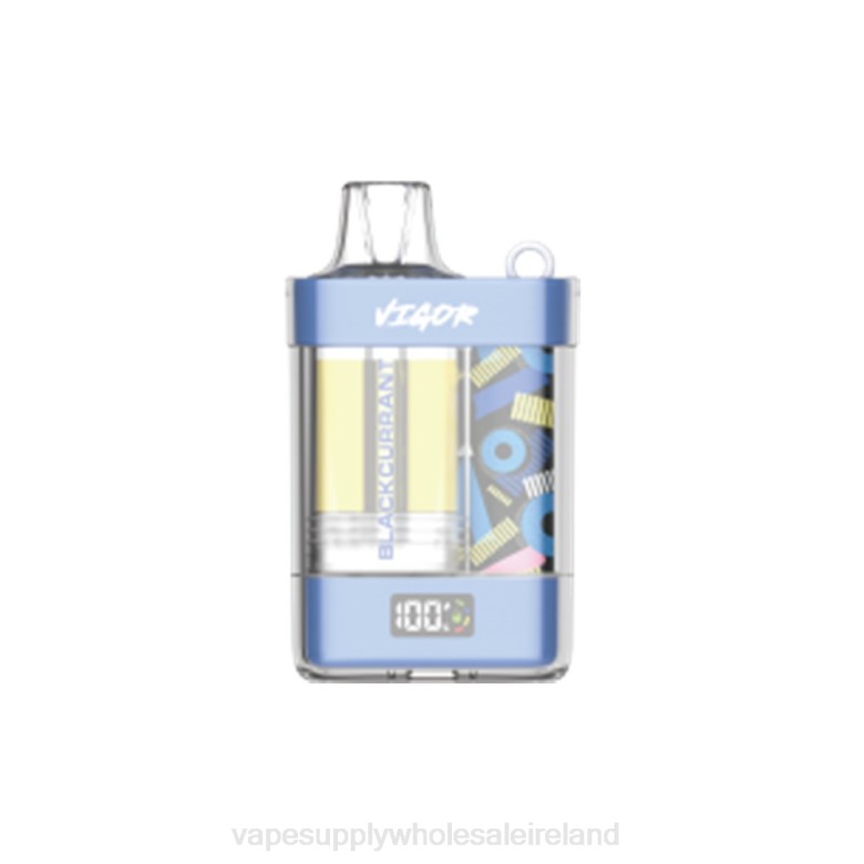 Electronic Cigarette Wholesale - LAVIE VIGOR 15000 Puffs ZB6N9 Black Currant