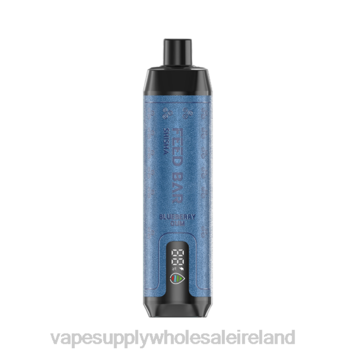 E Cigarettes Wholesale Suppliers - Vapsolo SHISHA Disposable Vape Blueberry Gum FXP898