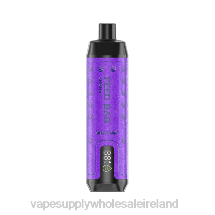 Electronic Cigarette Wholesale Supplier - Vapsolo SHISHA Disposable Vape Grape Mint FXP8100