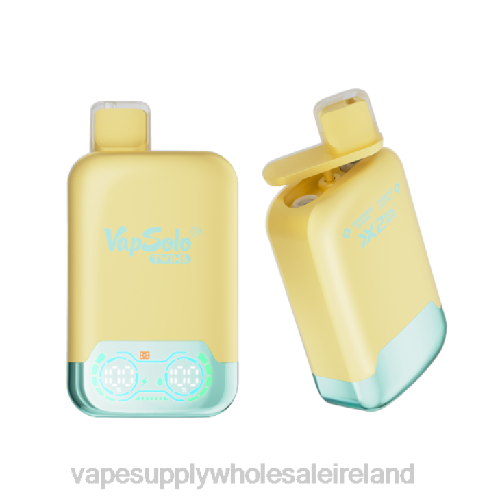 E Cig Wholesale Distributors - Vapsolo TWINS Disposable Vape Pineapple Coconut & Strawberry Banana FXP8125