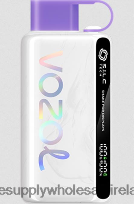 e cigarette wholesale - 0T2H13 Grape Ice VOZOL STAR 9000/12000 5%